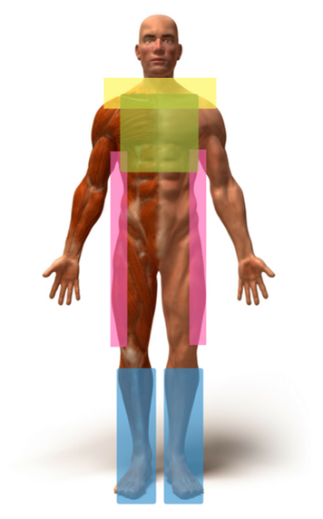 Rolfing Sessions 1 to 3